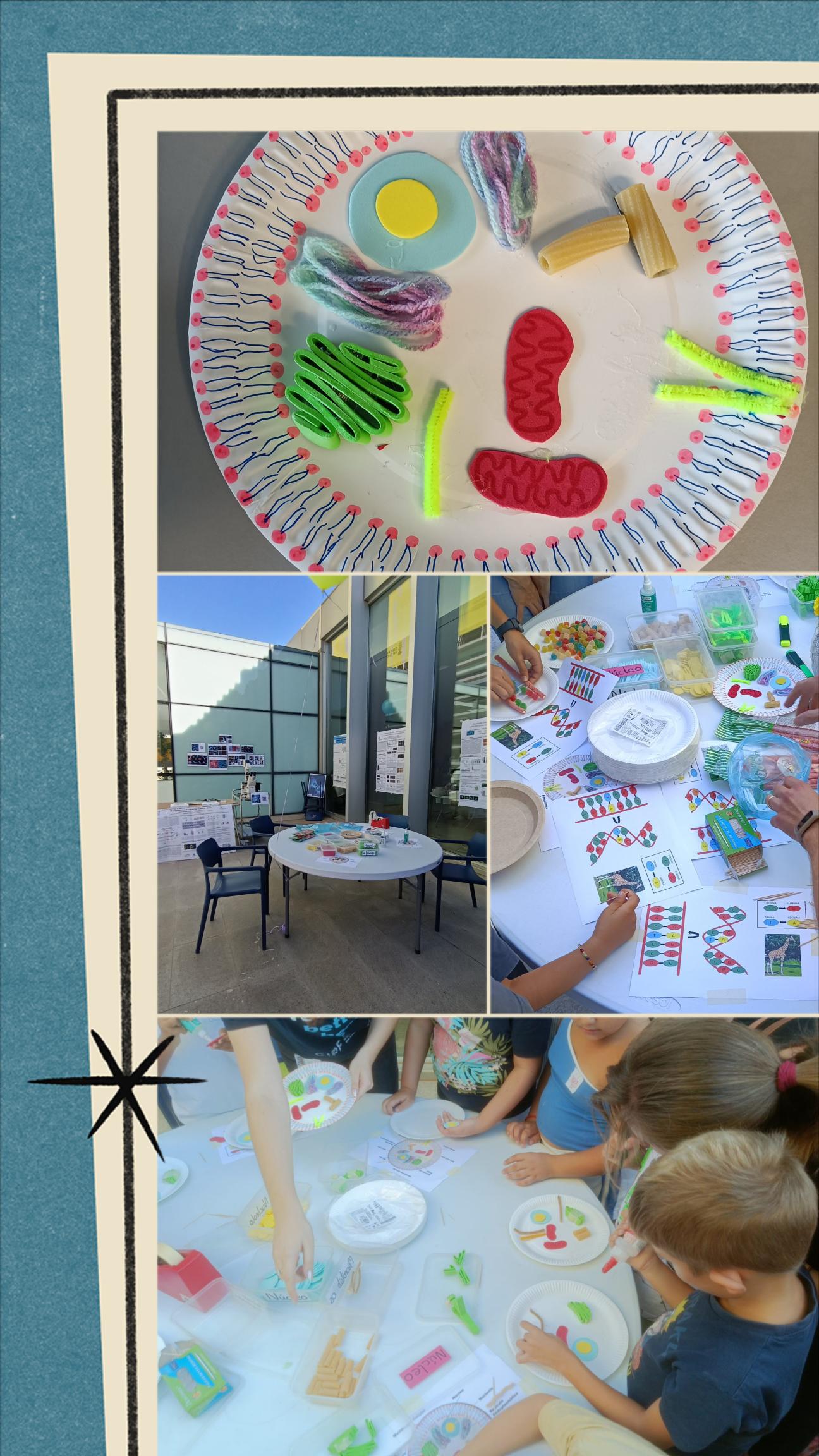 Cell-model craft activity from a past outreach event at CIPF