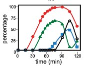 Figure from the 2013 PLOS Genetics paper on Greatwall and PP2A-Cdc55