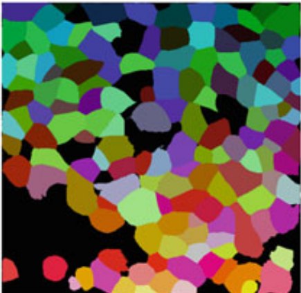 Figure from the 2023 book chapter on automated shape analysis